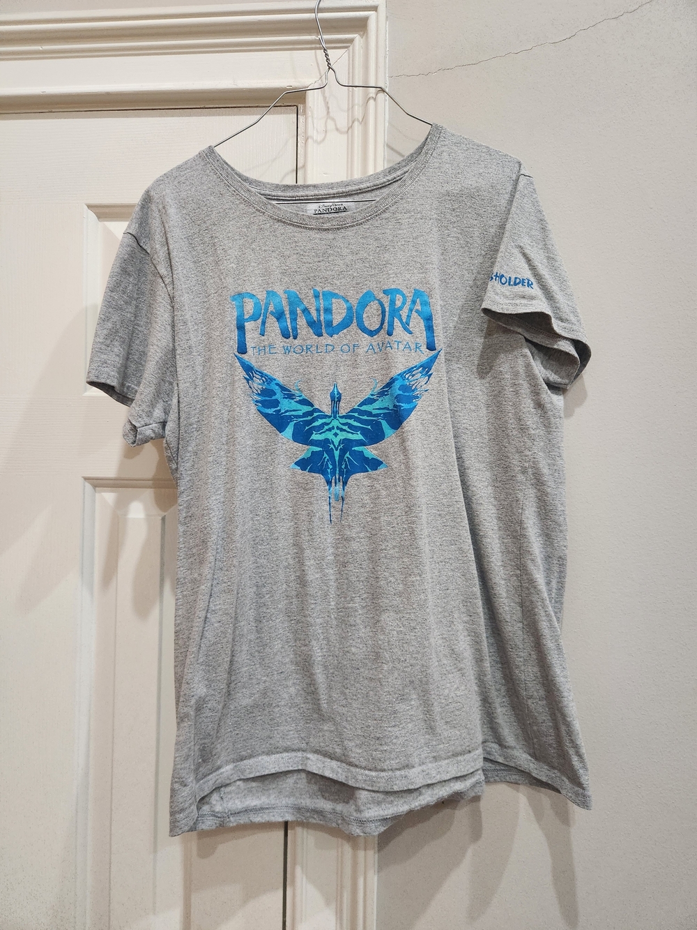 Pandora The World of Avatar Grey Tee May 27, 2017 Size XL